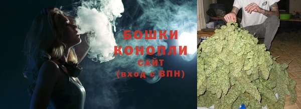 стаф Ладушкин