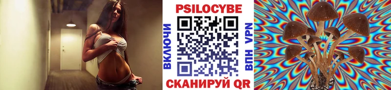 Галлюциногенные грибы Psilocybe  Нурлат 