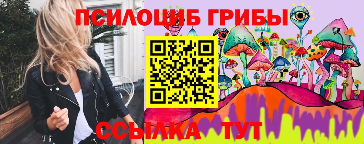 Псилоцибиновые грибы Psilocybe  Вход с VPN  Нурлат 
